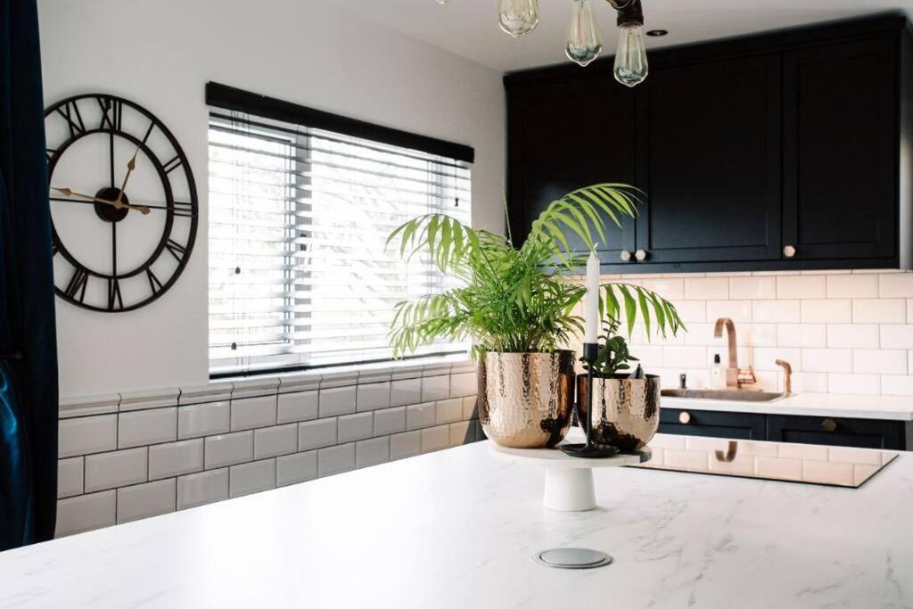 Modern & Stylish Home In The Heart Of بلفاست المظهر الخارجي الصورة